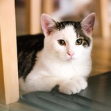 FB_IMG_1665250400317