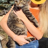 Polish_20221009_193028055