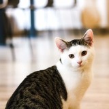 FB_IMG_1665913799970