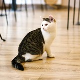 FB_IMG_1665913804359