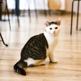 FB_IMG_1665913796230