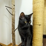 PXL_20221011_153121874