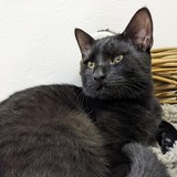 PXL_20221011_154340405