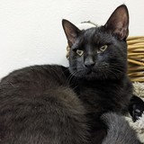 PXL_20221011_154339009