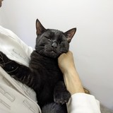 PXL_20221011_154249678