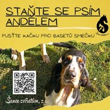 313004076_5816863188380749_7577088690473659993_n