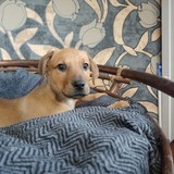 IMG20221106130745_BURST007