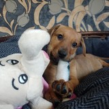 IMG20221106130756_BURST005