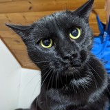 PXL_20221202_155122807