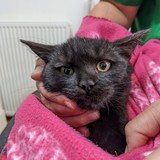 PXL_20221005_081642701