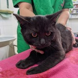 PXL_20221005_081244768