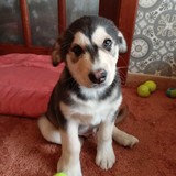 338881085_237131002020313_5118690276176563131_n