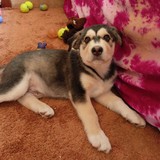 339035635_920981672483065_5962266224034178608_n