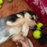 339185244_774514887214501_6879352095818416031_n