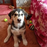 339318551_1281468052776027_8369345881122993860_n