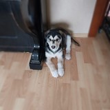 341120845_9041863362522585_2716381565521542425_n