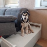 341145457_143105325388537_8701951053303795565_n