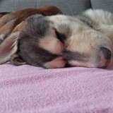 341407965_622238276423072_240977537788705393_n