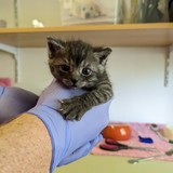 PXL_20230527_132116526