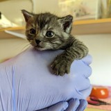 PXL_20230527_132106036