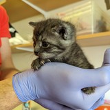 PXL_20230527_132027209