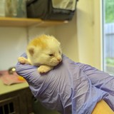 PXL_20230605_163235694