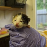 PXL_20230605_163149071