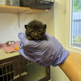 PXL_20230605_163343898