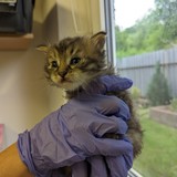 PXL_20230605_162841328