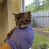 PXL_20230605_162847282