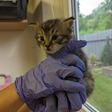 PXL_20230605_162839622