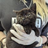 PXL_20230617_090901399