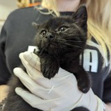 PXL_20230617_090850231