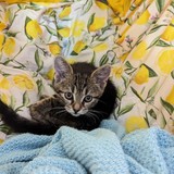 Obrázek WhatsApp, 2023-07-27 v 14.33.52