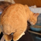 PXL_20230801_142234554.PORTRAIT