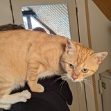 PXL_20230801_142239251.PORTRAIT