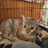 PXL_20230801_142958096