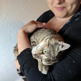 PXL_20230801_143100071