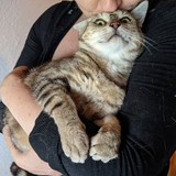 PXL_20230801_143127849