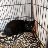 PXL_20230801_143339636