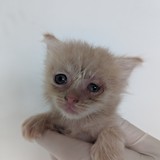 PXL_20230723_131256926