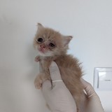 PXL_20230723_131322151