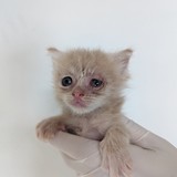 PXL_20230723_131252178