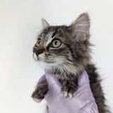 PXL_20230723_131112064