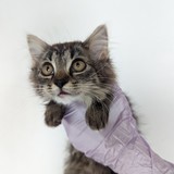 PXL_20230723_131139993