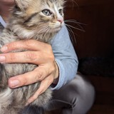 PXL_20230806_084700350