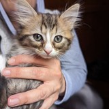 PXL_20230806_084702489