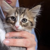 PXL_20230806_084714232