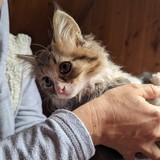 PXL_20230806_084718954