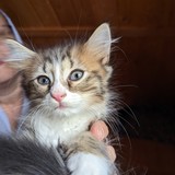 PXL_20230806_084914008